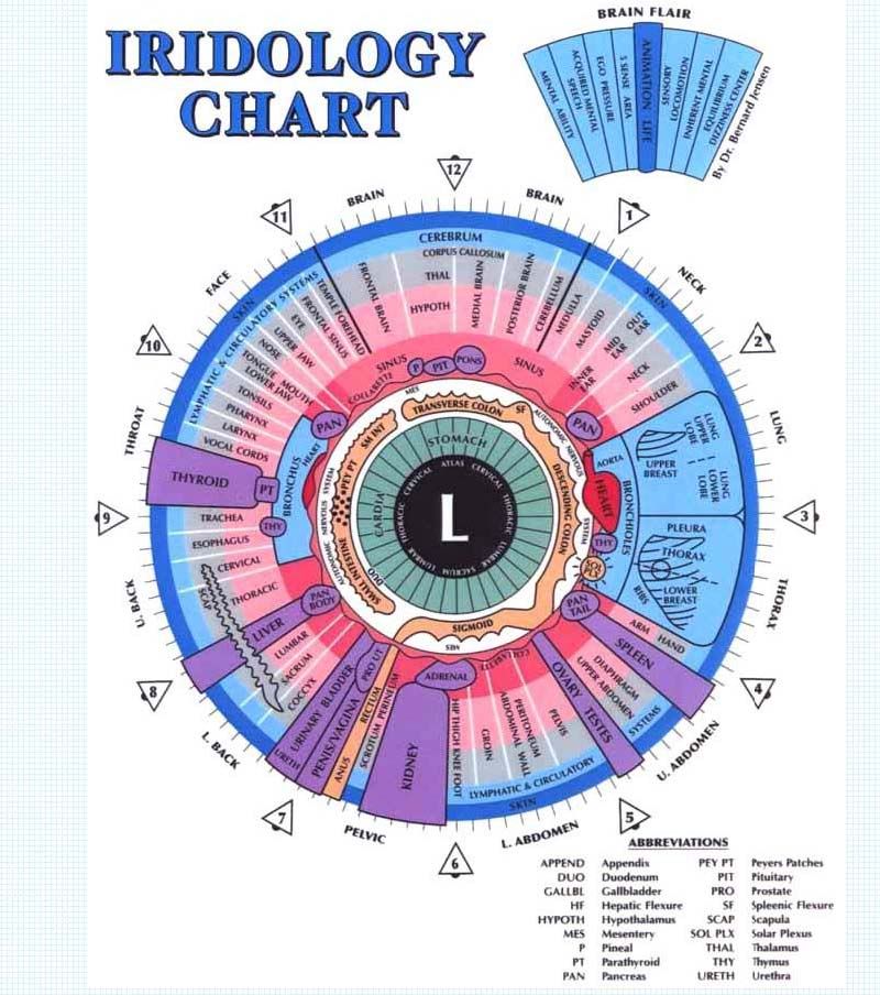 An Iris Scan tells you so much about your body!